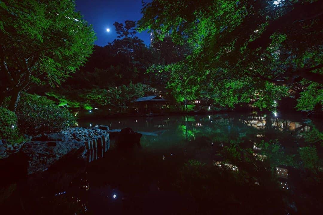 八芳園さんのインスタグラム写真 - (八芳園Instagram)「今夜は中秋の名月🎑 . 中秋の名月とは、 旧暦の8月15日の十五夜に お月見をする風習です。  . 八芳園の庭園から見える月も美しく輝き、 池に落ちた月の光はゆらゆらと揺らめきます。 . 月を眺めながら、 秋の風を浴びる心地よい夜。 . 素敵な一夜をお過ごしください。  #八芳園 #結婚式 #結婚式場 . #日本庭園 #自然 #庭園 #秋　#中秋の名月 #お月見　#月 #夜  #都心 #港区 #白金台 . #東京観光  #東京カメラ部  #写真好きな人と繋がりたい  #カメラ好きな人と繋がりたい  . #和装結婚式 #花嫁さんと繋がりたい #プレ花嫁 #式場探し #プレ花嫁さんと繋がりたい . #japan #japanesegarden #happoen #japaneseculture  #tokyotrip #moon #tokyotokyo」10月1日 21時36分 - happoen