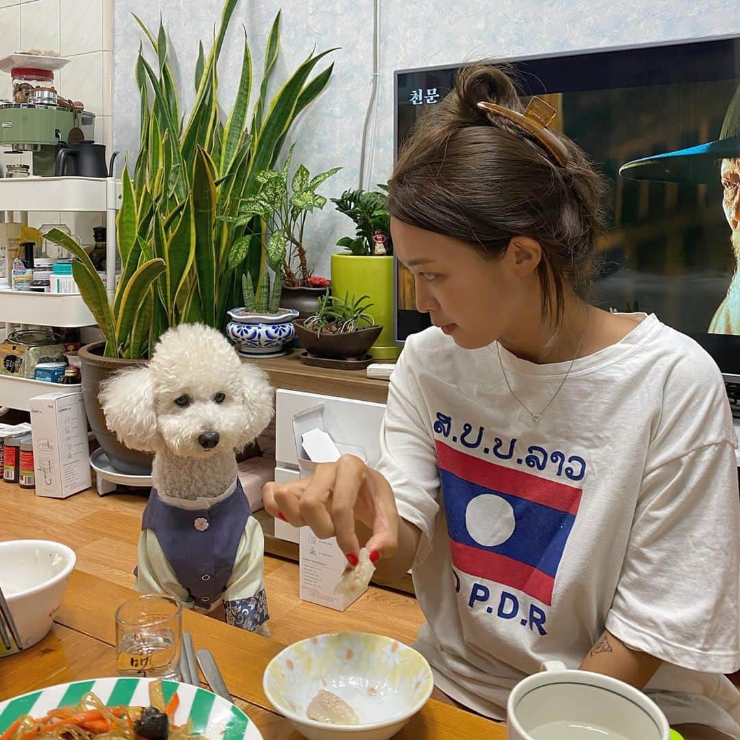 キム・ダヘのインスタグラム：「김율무 견생처음 도가니 먹은날 ㅋㅋㅋ 🐶 울아빠한테만 챡 붙어있어요 참내 친정에서 먹는 밥 진짜 오랜만이에요 존맛존맛개존맛탱 ㅠㅠㅠㅠㅠ」