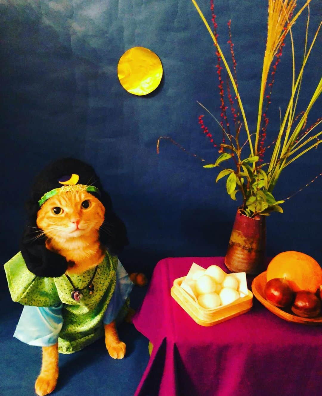 マロさんのインスタグラム写真 - (マロInstagram)「🌕中秋の名月🌾〜月読命〜 (ツクヨミノミコト)夜の世界を統治する月の神様。 (ご利益)豊年満作、心願成就など。 ✴︎ Otsukimi is also known as Jugoya (the 15th night); however, the actual date changes every year because it is determined by the traditional Japanese calendar; it typically falls on a full moon night around September 15th. This date corresponds to August 15th of the traditional Japanese calendar. Each offering has a symbolic meaning. Round white dango symbolize the full moon; they are made from rice flour harvested at that time, therefore people offer them to express gratitude for a good harvest. Round shapes are regarded as an auspicious sign. It is believed that people can obtain happiness and health by eating dango. Susuki symbolize Yorishiro, the object where the moon divine spirit resides. There is a saying that hangingused susuki from eaves prevents illness for a year, because people believe that these susuki can ward off evil spirits. ✴︎ 今月もよろしくお願いします🙇‍♀️ いつもコメントありがとうございます😺🙏💕 返信出来なくてすみません🙇‍♀️ 全て拝見しています🐾 ✴︎ Thank you for your comments😸🙏💕 I'm sorry that I couldn't reply. ✴︎ #cat#cats#catsofinstagram#😻 #japaneseculture#harvestmoon  #にゃんすたぐらむ#ねこ#ねこ部 #猫#中秋の名月#秋#お月見団子  #お月見#十五夜#月読命#神様 #感謝#猫のいる暮らし#斉藤和義 #カーリングシトーンズ」10月1日 21時52分 - rinne172