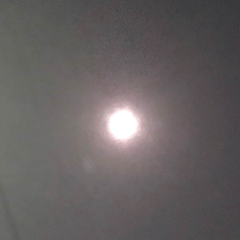 土屋眞弓のインスタグラム：「今宵は中秋の名月🌕✨✨  厳しかった暑い夏も終わり、やっと私の大好きな秋になりました🍁  #ちゅうしゅうのめいげつ  #秋 #autumn  #fullmoon」