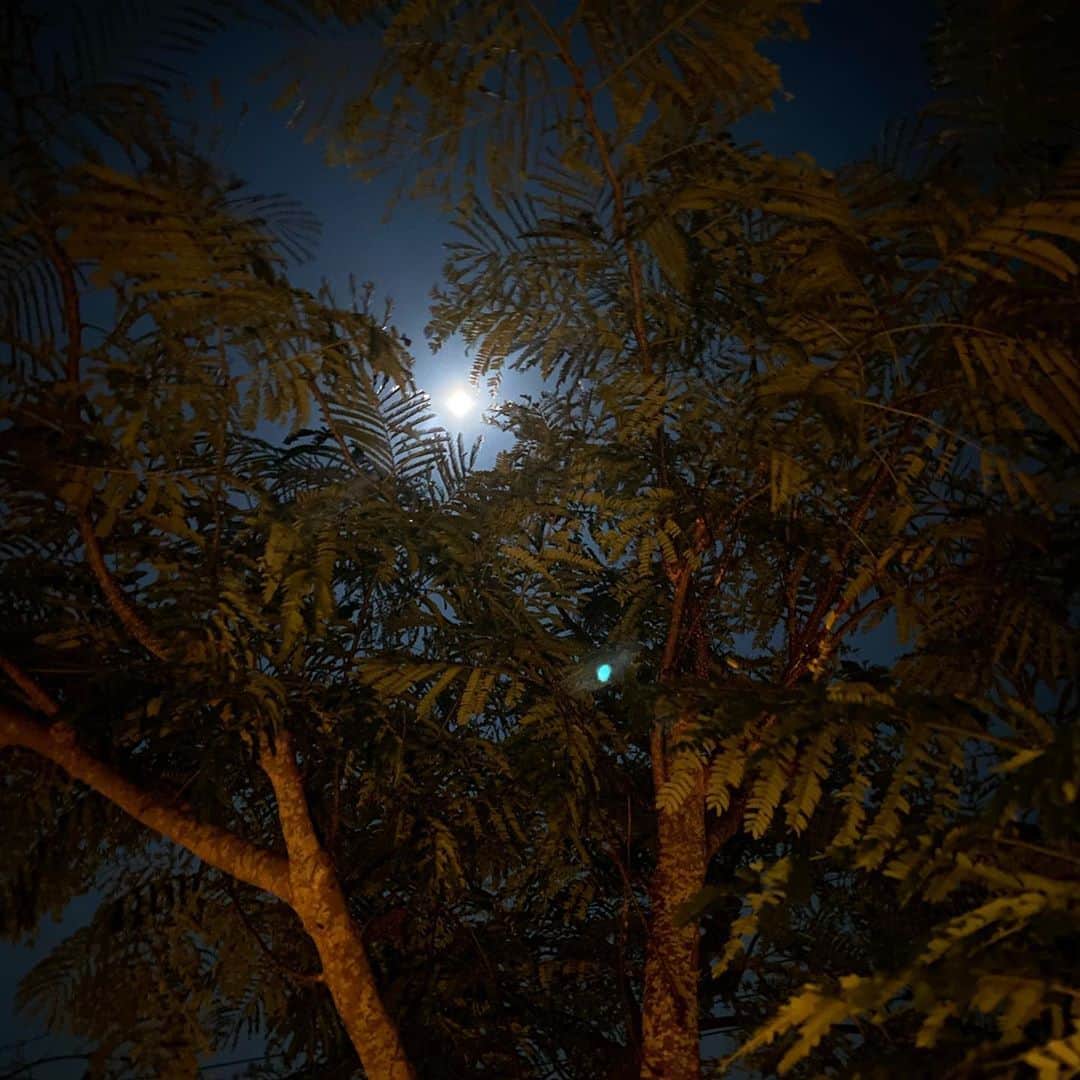 板谷由夏 さんのインスタグラム写真 - (板谷由夏 Instagram)「夜空にぴかぴかのお月様。 月の光を浴びました。 本日は @eclat.magazine の撮影 シンメ　@sinmedenim  新作の打ち合わせ。 １日楽しく過ごせました。 ありがとう。 ずいぶん涼しくなってきたから 秋冬の買い物がしたくなるね。 こんなときだからこそ、新しい洋服や 小物たちにパワーをもらいたい。 @palejute  2周年おめでとう㊗️」10月1日 22時03分 - yukaitaya
