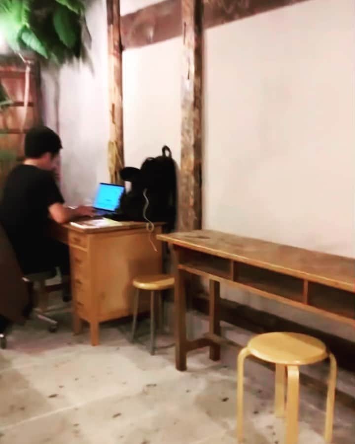 世武裕子のインスタグラム：「このストーリーの並び、個人的にツボった。音ありでぜひ🤣 I'm sooo loving the combination of those 2 videos on my story ! Sound On ! #ちゃんちゃんこ着た犬が突然吠えながら走ってきた🐕😧😱」
