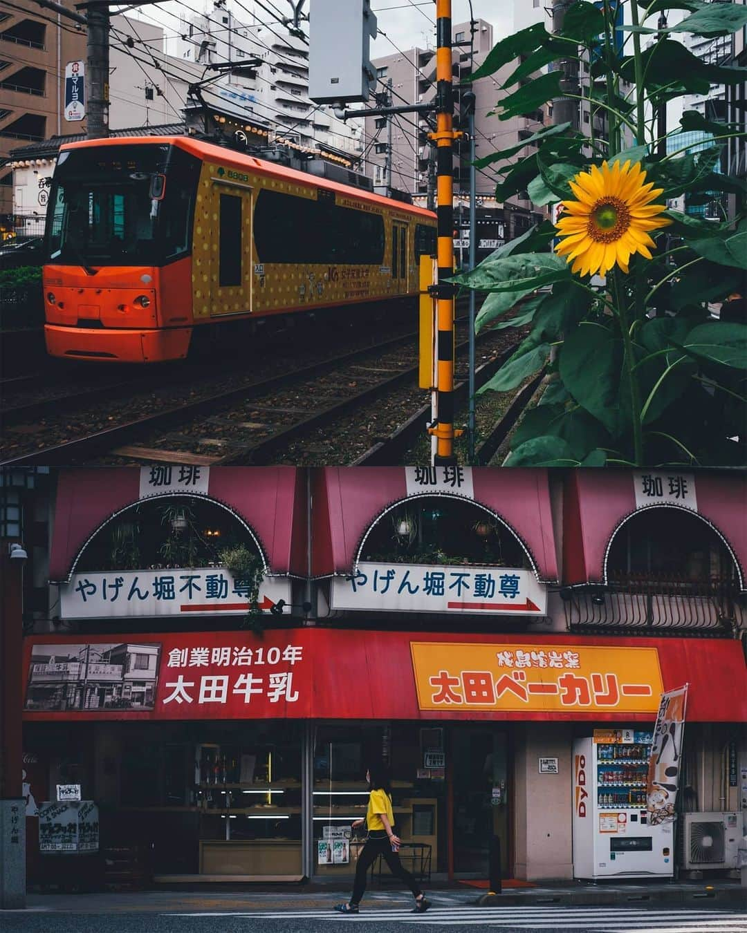 Takashi Yasuiさんのインスタグラム写真 - (Takashi YasuiInstagram)「In color in Tokyo」10月1日 22時07分 - _tuck4