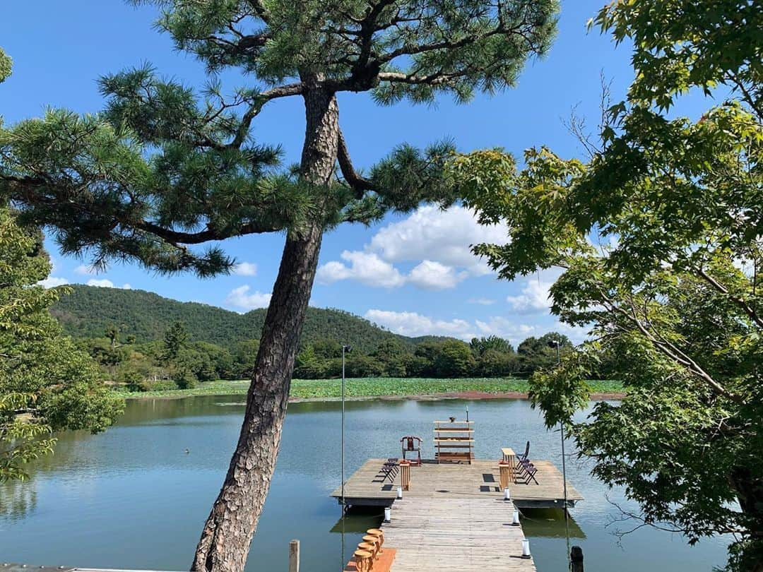 東麻美さんのインスタグラム写真 - (東麻美Instagram)「中秋の名月🌝 大覚寺さんの『観月の夕べ』 今夜からだそう。 優美なお遊び・・・🍁 池に映る月、見てみたいなぁ🌝  #大覚寺 #京都#中秋の名月 #麻美旅#kyoto#lovelyday」10月1日 22時07分 - asamihigashi