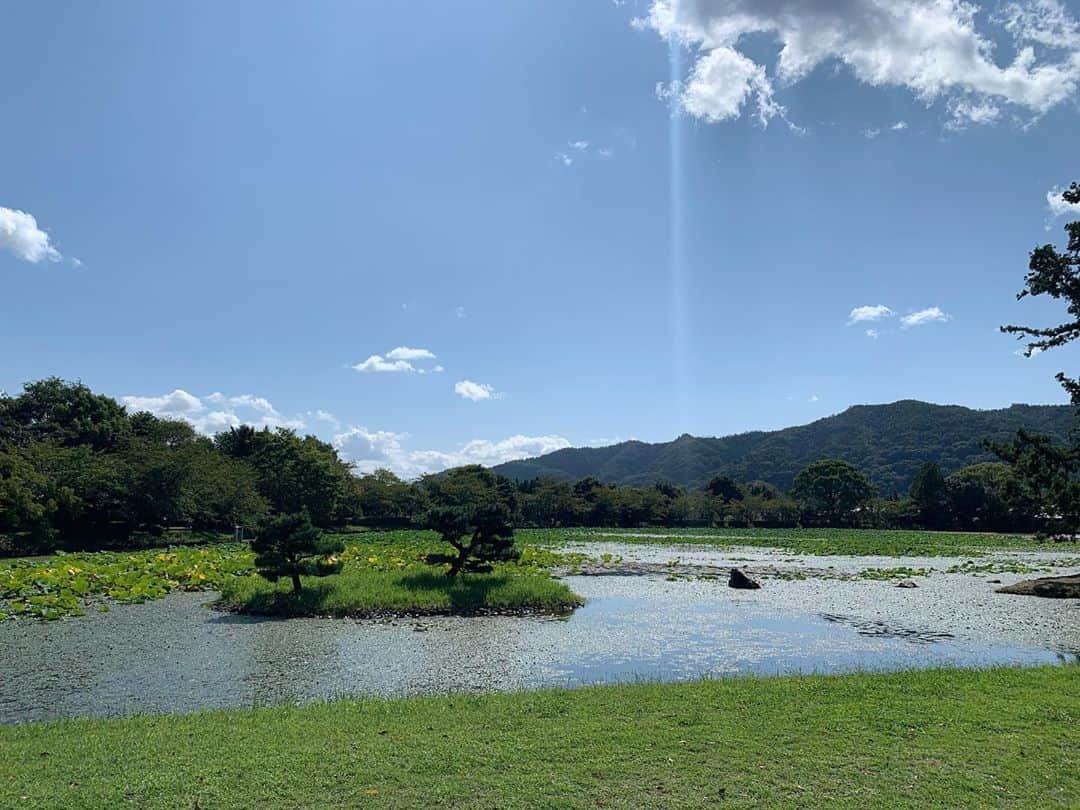 東麻美さんのインスタグラム写真 - (東麻美Instagram)「中秋の名月🌝 大覚寺さんの『観月の夕べ』 今夜からだそう。 優美なお遊び・・・🍁 池に映る月、見てみたいなぁ🌝  #大覚寺 #京都#中秋の名月 #麻美旅#kyoto#lovelyday」10月1日 22時07分 - asamihigashi