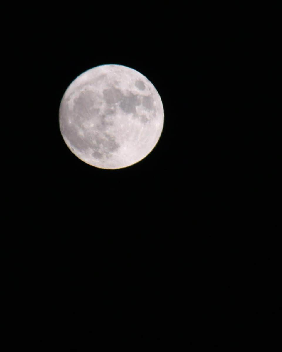 Satomiさんのインスタグラム写真 - (SatomiInstagram)「. 2020.10.1* . #中秋の名月  #十五夜  広島の空に浮かぶ今日の月は、とても綺麗です。 空を見たり月を見たり星を見たり٠٠٠٠٠٠ そういう時間って大切だったなと、久しぶりに思い出しました。 . せっかくなのでお団子を。 もうだいぶ前から、うちのお団子はお豆腐入り。 白玉粉に同量の絹ごし豆腐をまぜこんで、そこからよく言う"耳たぶくらいの柔らかさ"になるまで豆腐の量を少しずつ増やして捏ねます。 この"耳たぶくらいの柔らかさ"っての、よく分からん😅 私、耳たぶが薄っぺらすぎて柔らかくない💦 ピアスをする前は、イヤリングを何度失くしたか分かりません。 話が逸れましたが、このお豆腐団子、時間が経っても硬くならないし、なんか健康にも良さそうやん？😁 というわけで、もう何年も作り続けています。 今日も美味しく出来ました♫ . 我が家のグループLINEで団子の存在を知った息子、食いてぇ！とひと言。 そうやろ、そうやろ。 お団子、息子の大好物なもので。 次の治療日には、団子持参で行くかな。 . 小さい頃は、子ども達とよく一緒に作りました。 懐かしいなぁ。 最後の3枚は、息子3歳のお団子作り。 これはもう丸めてはないね😂 来月16歳になる息子、13年前かぁ。 可愛すぎたなぁ。笑 . . #おうちおやつ #クラシル #キッチングラム  #マカロニメイト #コッタ #フーディーテーブル  #ロカリ #おうちごはんlover #私のおいしい写真  #さとみのおやつ #おうちカフェ #手作りおやつ  #作って食べてありがとう #さとみ茶屋商い中  #うつわ好き #うつわのある暮らし #余宮隆  #みたらし団子 #団子 #月見団子  #wp_deli_recipe #wp_deli_japan #wp_deli_style  #instafood #lin_stagrammer #igersjp  #japanesefood #iegohanphoto  . .」10月1日 22時13分 - satomi614