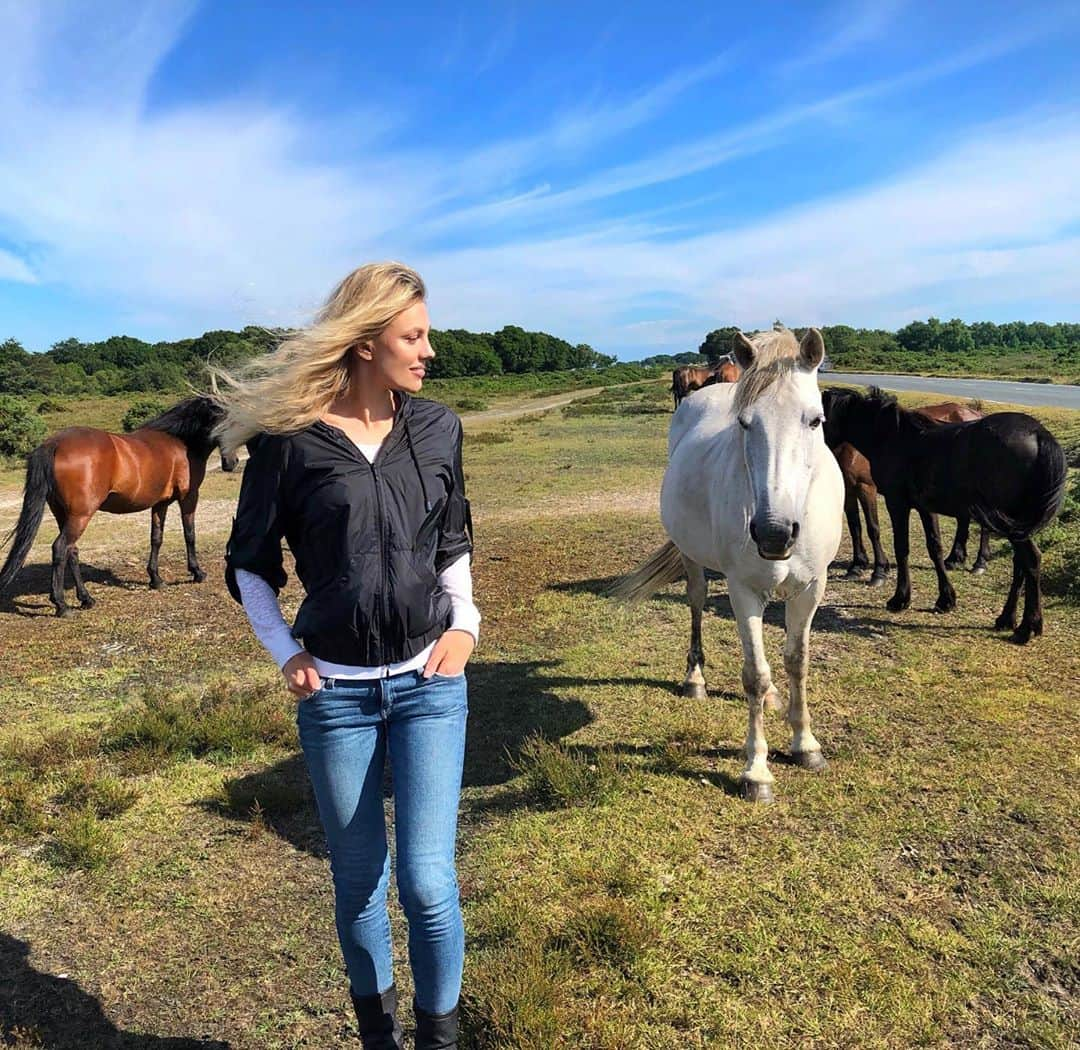 バール・パリーのインスタグラム：「#Wild, wild horses  Couldn't drag me away 🎶 🐎 (Well, they could, cause there’s a lot of them, and only one of me & you know, they ARE #horses. They just chose not to, cause they are cool like that 😏)」