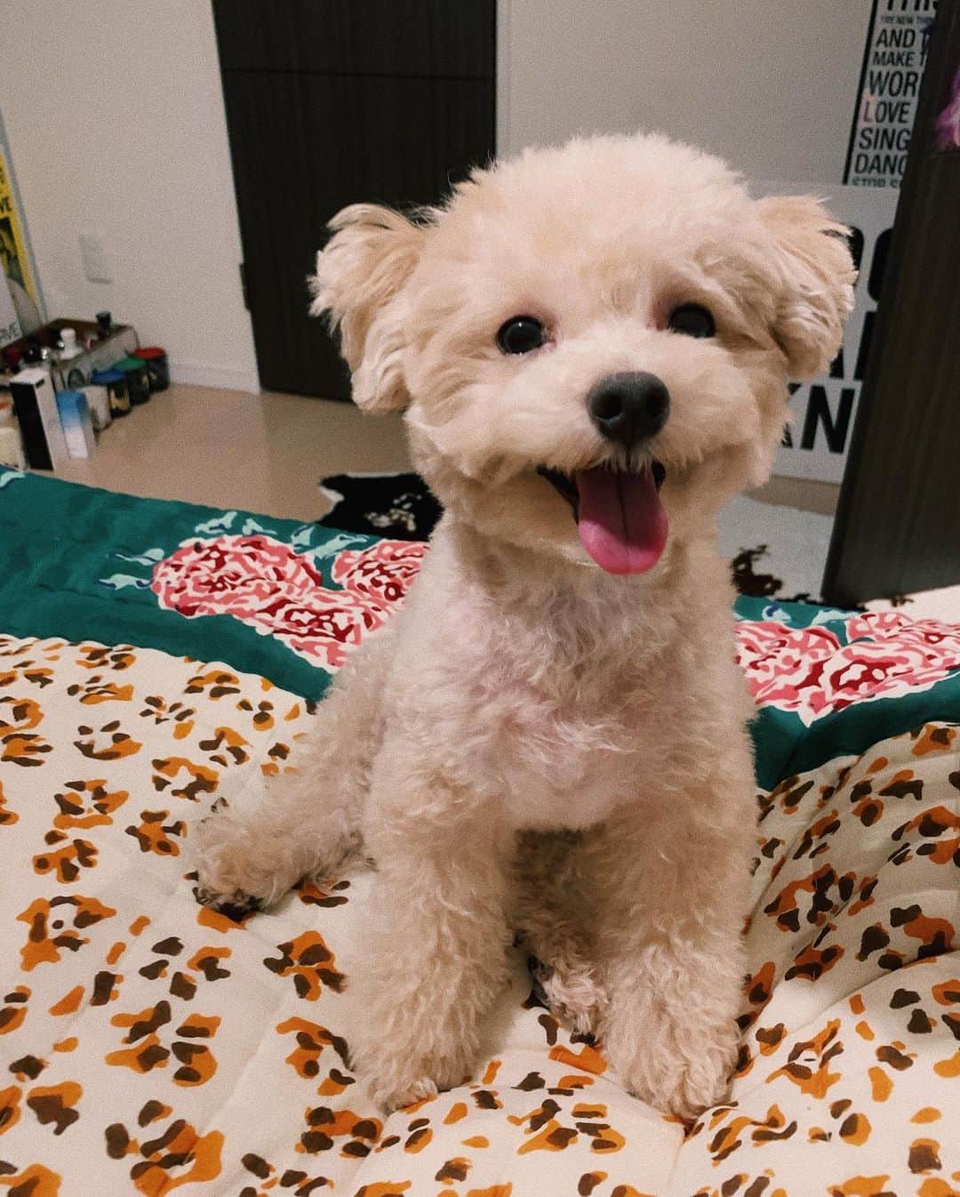 AMIのインスタグラム