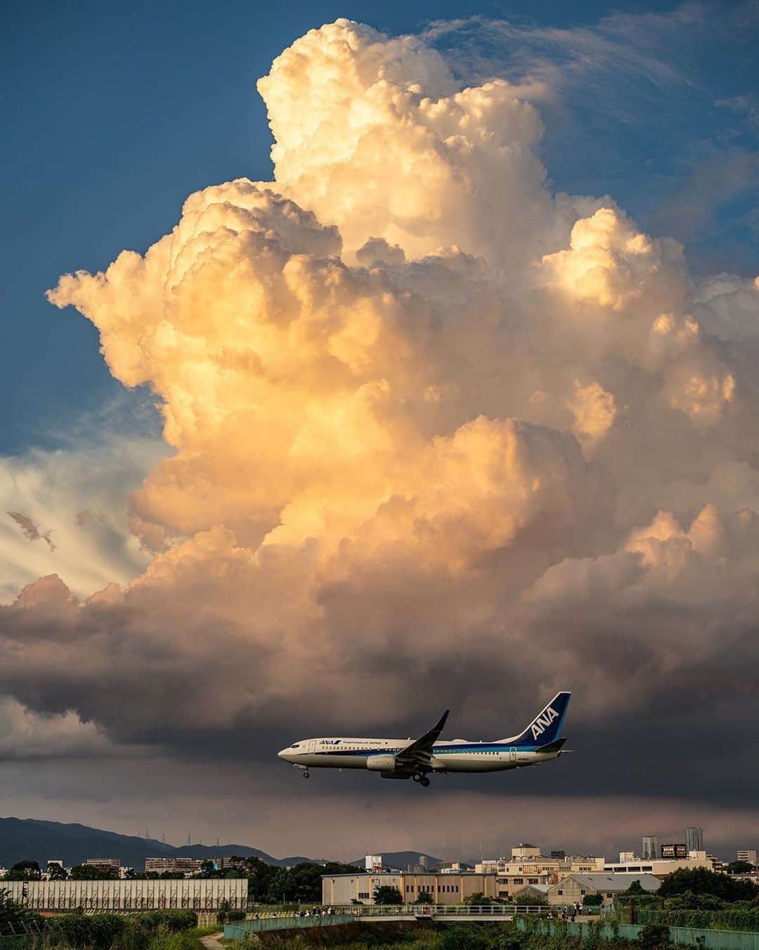 All Nippon Airwaysさんのインスタグラム写真 - (All Nippon AirwaysInstagram)「You could say we've always got our head in the clouds. ⛅️ 📷: @a.d.a.c.h.i._vehicle #Regram #FlyANA」10月1日 22時31分 - allnipponairways