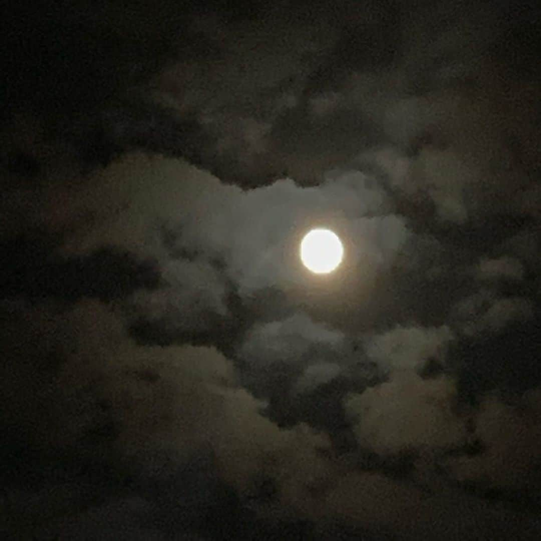 ムン・ジョンウォンさんのインスタグラム写真 - (ムン・ジョンウォンInstagram)「🌕」10月1日 22時57分 - moonjungwon