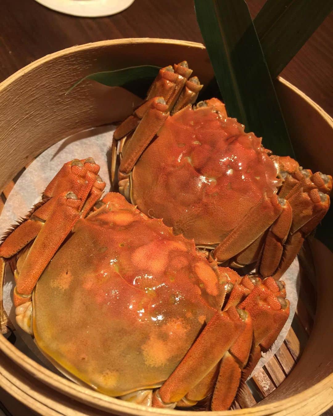香西咲さんのインスタグラム写真 - (香西咲Instagram)「#上海蟹  食べれたのでもう一日頑張るのさ⁽⁽(੭ꐦ •̀Д•́ )੭*⁾⁾ ᑦᵒᔿᵉ ᵒᐢᵎᵎ」10月1日 23時01分 - saki.kouzai