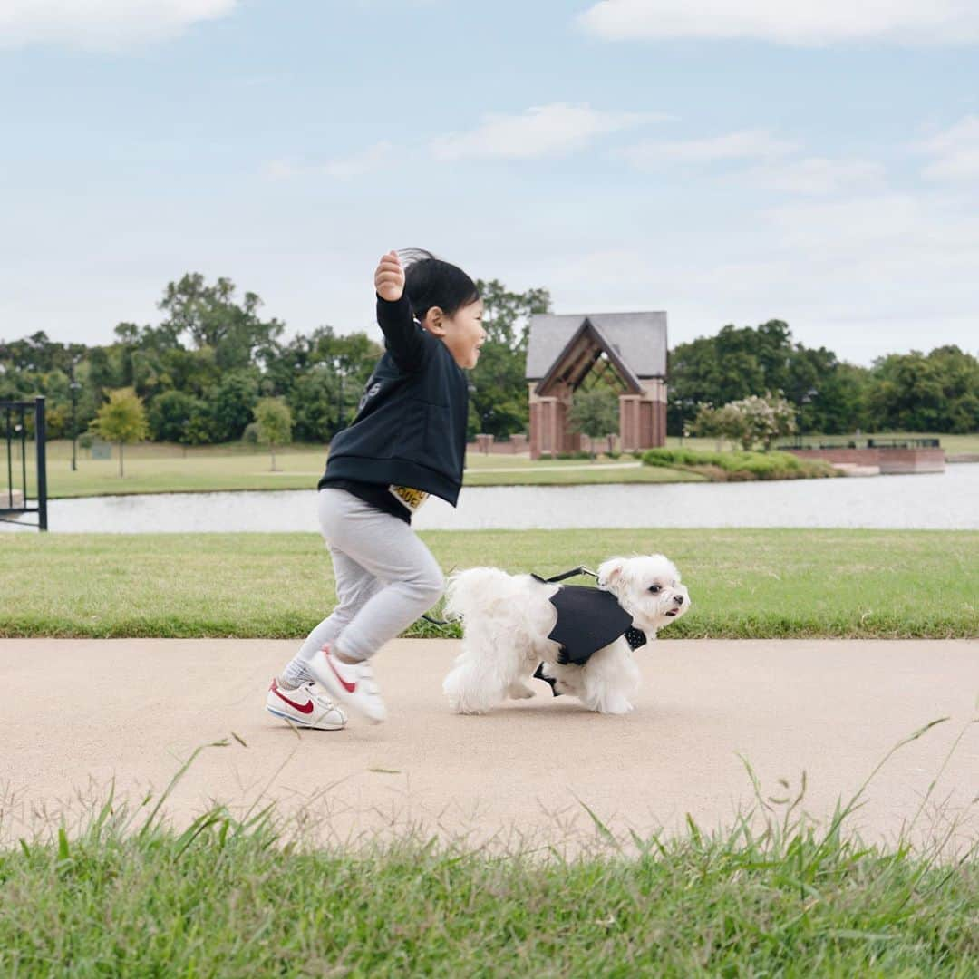 hi.arodさんのインスタグラム写真 - (hi.arodInstagram)「Who is walking who? 🤔 ・・ ・  #nationalwalkyourdogweek​#dogwalker#walkies#neverwalkalone#livelifeoffleash#walkingdog#dogwalkers#walkingtime#walkingmydog#walkingwithmydog#runningfree#bestbuddies#kidanddog#babiesanddogs#childhood#biglove#purehappiness#happydoghappylife#thehappiest#kidsanddogs#happydogday#happyrunner#happyrun​#maltese#malshi#maltipoo#morkie​#maltipom​#maltipoodle​#fruitable @fruitablespettreats」10月1日 23時24分 - hi.arod