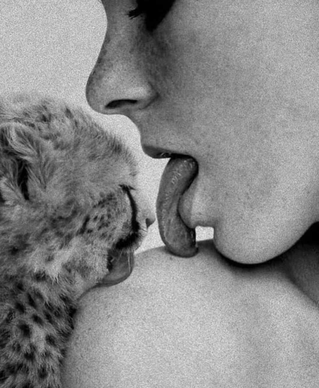 のインスタグラム：「Be good to the animals 🐅🦧🦩🐡🐝🐙🐖🦥🐳🐢 #animais #copycat」