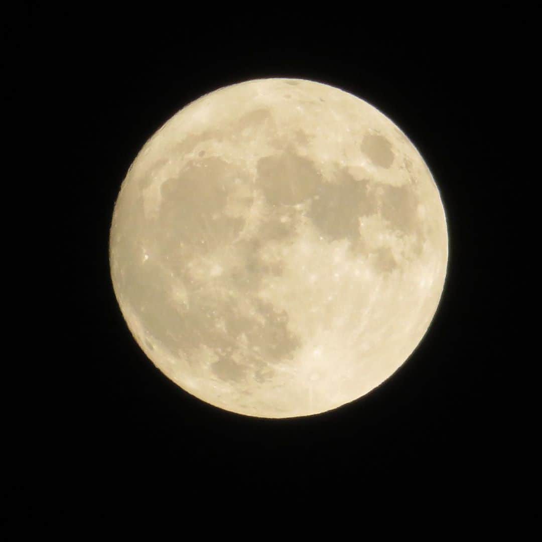 筧沙奈恵さんのインスタグラム写真 - (筧沙奈恵Instagram)「中秋の名月🌕 ・ 「今日は月がキレイな日なんだよね？」と明るいうちから楽しみにしていた子どもたち。 ・ 夜お外に出て、キレイな月を見上げて嬉しそうにしていました👦👧 ・ 「白玉だんごつくるー！」ということで、息子と白玉だんごを作りました😌 ・ みたらしをかけていただきました♪ ・ 残った白玉は冷凍したので、今度フルーツポンチを作るときに使おう🥝 ・ ちなみに、月の写真は妹が送ってくれました。クレーターまで鮮明に写っていて、本当に美しい😍 ・ #中秋の名月　#月　#moon #白玉　#白玉団子」10月2日 0時01分 - sanaekakei