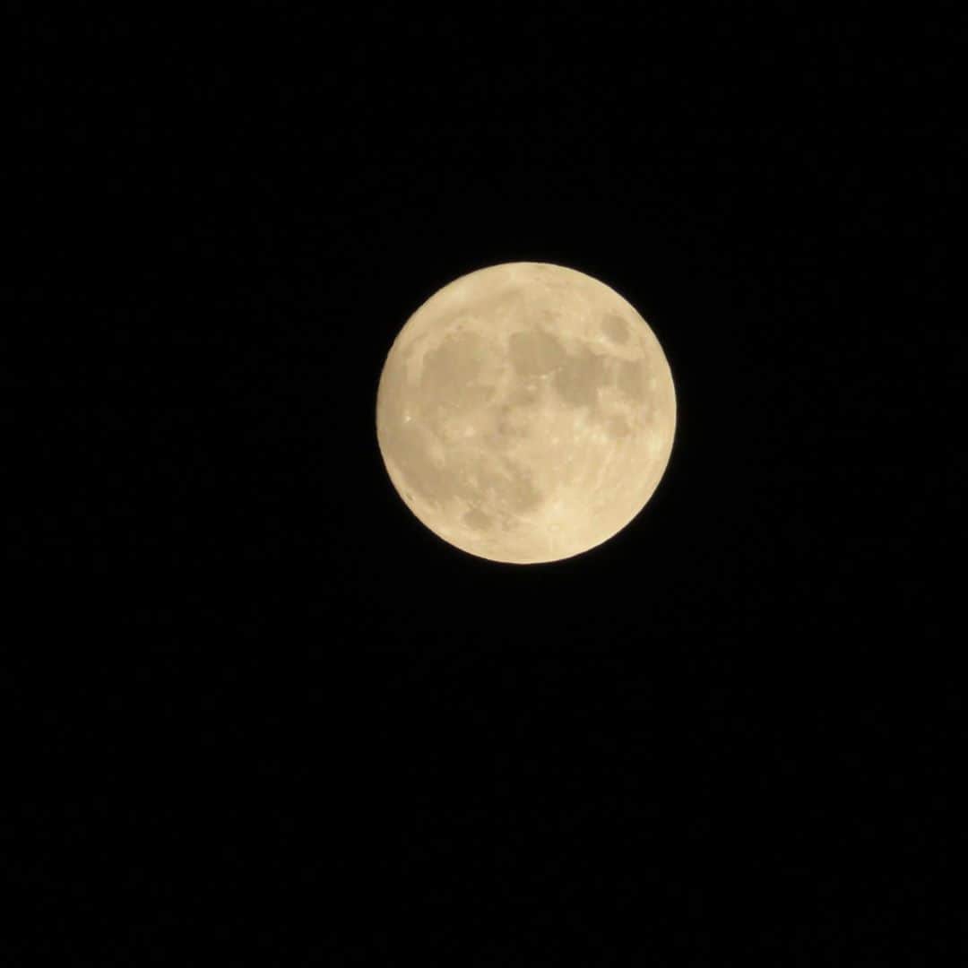 筧沙奈恵さんのインスタグラム写真 - (筧沙奈恵Instagram)「中秋の名月🌕 ・ 「今日は月がキレイな日なんだよね？」と明るいうちから楽しみにしていた子どもたち。 ・ 夜お外に出て、キレイな月を見上げて嬉しそうにしていました👦👧 ・ 「白玉だんごつくるー！」ということで、息子と白玉だんごを作りました😌 ・ みたらしをかけていただきました♪ ・ 残った白玉は冷凍したので、今度フルーツポンチを作るときに使おう🥝 ・ ちなみに、月の写真は妹が送ってくれました。クレーターまで鮮明に写っていて、本当に美しい😍 ・ #中秋の名月　#月　#moon #白玉　#白玉団子」10月2日 0時01分 - sanaekakei