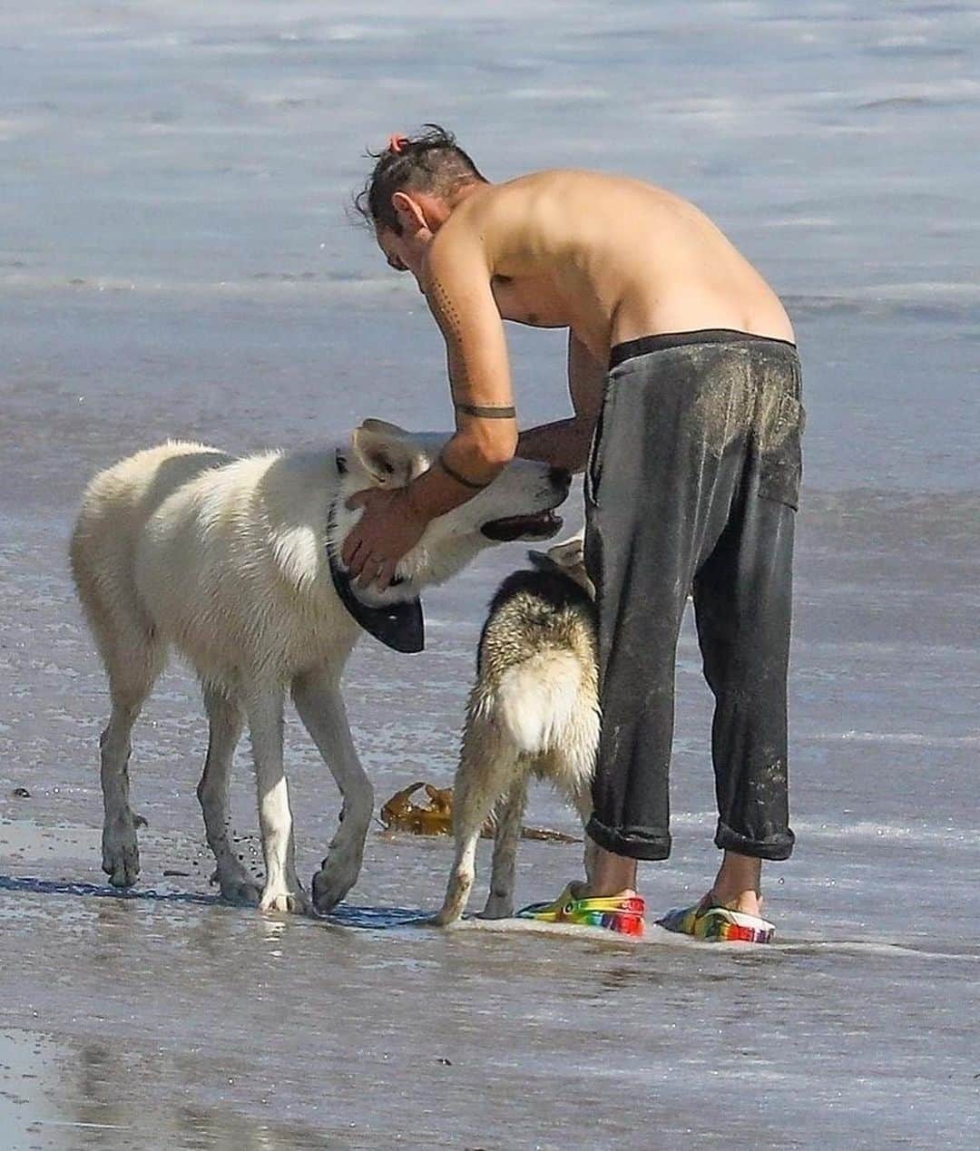 Just Jaredさんのインスタグラム写真 - (Just JaredInstagram)「Actor Jonathan Rhys Meyers enjoys a day at the beach with his dogs. Tap this pic in the LINK IN BIO for a lot more photos.  #JonathanRhysMeyers Photo: Backgrid」10月2日 0時02分 - justjared
