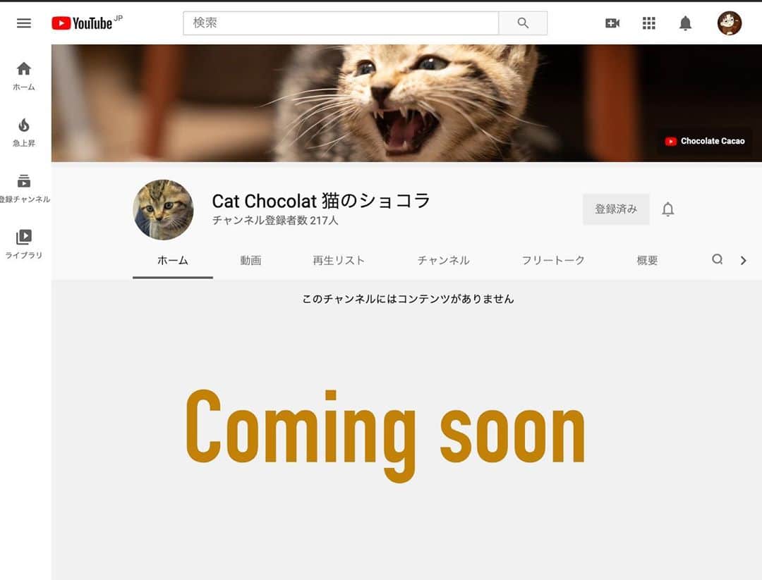 チョコレートカカオのインスタグラム：「We have launched a new YouTube channel! "Cat Chocolat 猫のショコラ" https://youtube.com/channel/UC7HSVLvS8Rdxw4xs_4YooxQ My first video post will be coming soon. Please subscribe to our channel and wait.  新しいYouTubeチャンネルができました！ 「Cat Chocolat 猫のショコラ」 https://youtube.com/channel/UC7HSVLvS8Rdxw4xs_4YooxQ 初めての動画投稿はもうすぐです。 チャンネル登録をしてお待ちください。」