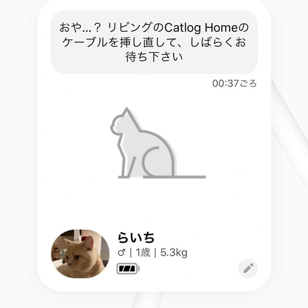 赤西涼のインスタグラム：「実は昨日から我が家にキャットログが導入されたのですが… アプリにらいちゃんの様子を伝えてくれる本体的なものがらいちゃんの手によって行方不明に… いくら探しても出てこない😭どこに隠したの😭😭😭」