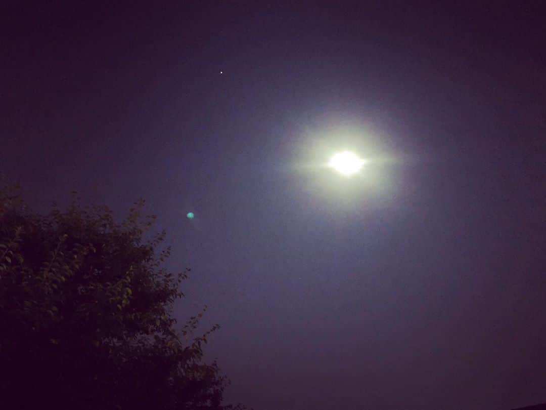 佐野碧さんのインスタグラム写真 - (佐野碧Instagram)「十五夜お月さま。  月を見ていると安心する。  何故だろう。  空を見ていると、願いを込めたくなる。  何故だろう。  この同じ空の下。  #十五夜お月さま　#じゅうごや  #じゅうごやおつきさま  #moon #fullmoon #moonshot  #skylovers  #sky #そら  #空が好き  #同じ空の下　#祈り　#願い事  #繋がる　#つながり  #生命  #自然　#宇宙　#space  #浄化  #未来  #future  #光  #light  #nature 　#夜の空  #風  #月の写真  #ありがとう」10月2日 0時41分 - aoi_sano