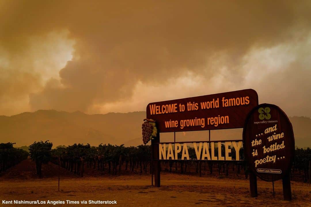 ABC Newsさんのインスタグラム写真 - (ABC NewsInstagram)「Charred bottles, burnt golf carts litter the landscape as the Glass Fire rages through California's Napa Valley, forcing tens of thousands of evacuations. #glassfire #wildfires #california #napa #napavalley」10月2日 0時51分 - abcnews