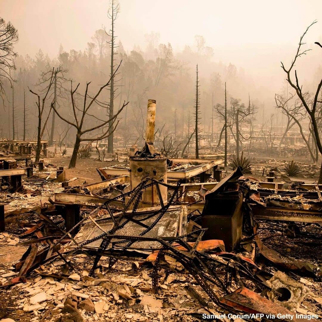 ABC Newsさんのインスタグラム写真 - (ABC NewsInstagram)「Charred bottles, burnt golf carts litter the landscape as the Glass Fire rages through California's Napa Valley, forcing tens of thousands of evacuations. #glassfire #wildfires #california #napa #napavalley」10月2日 0時51分 - abcnews