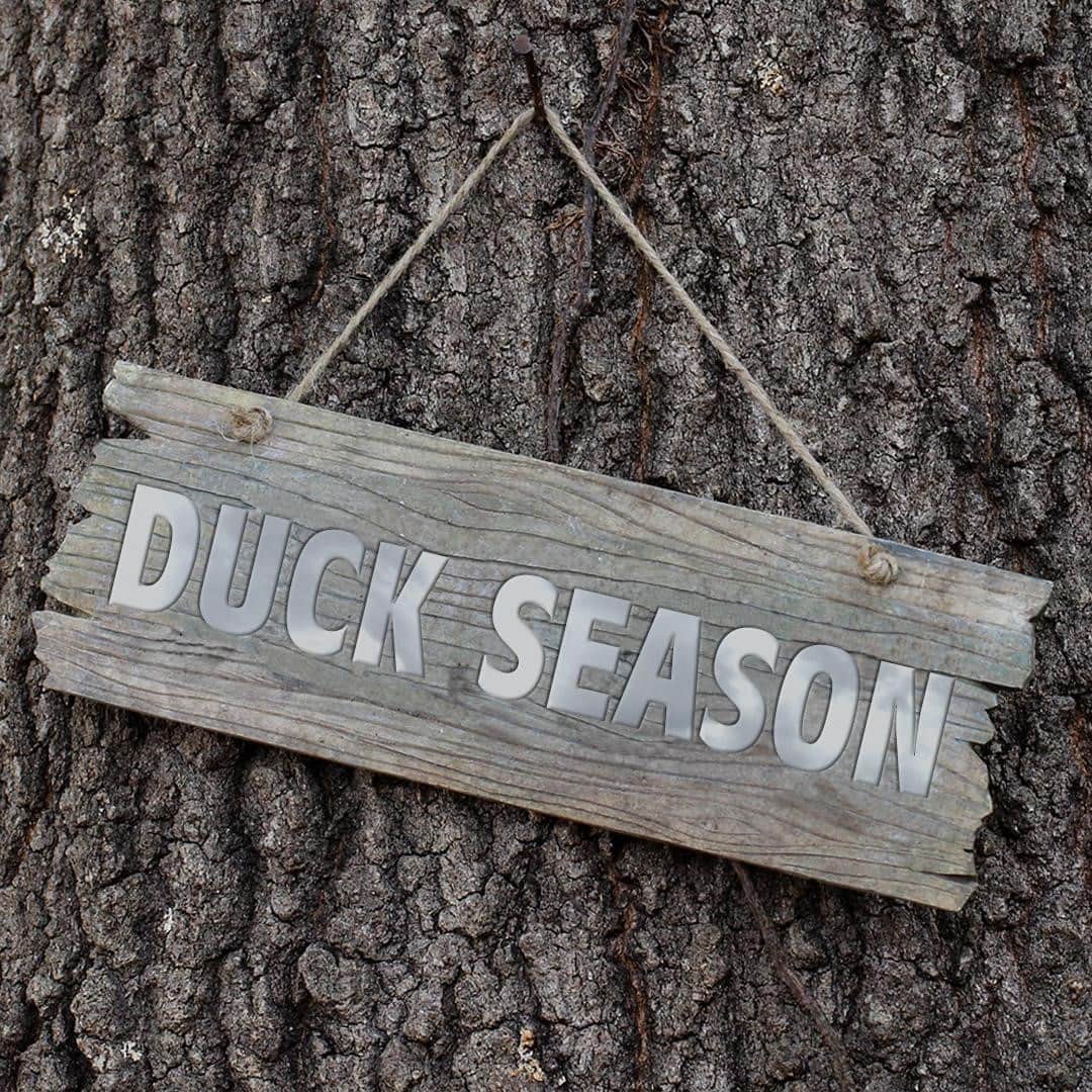 Looneyさんのインスタグラム写真 - (LooneyInstagram)「okay *technically* it's duck AND rabbit season but only duck season matters tbh」10月2日 1時01分 - looneytunes
