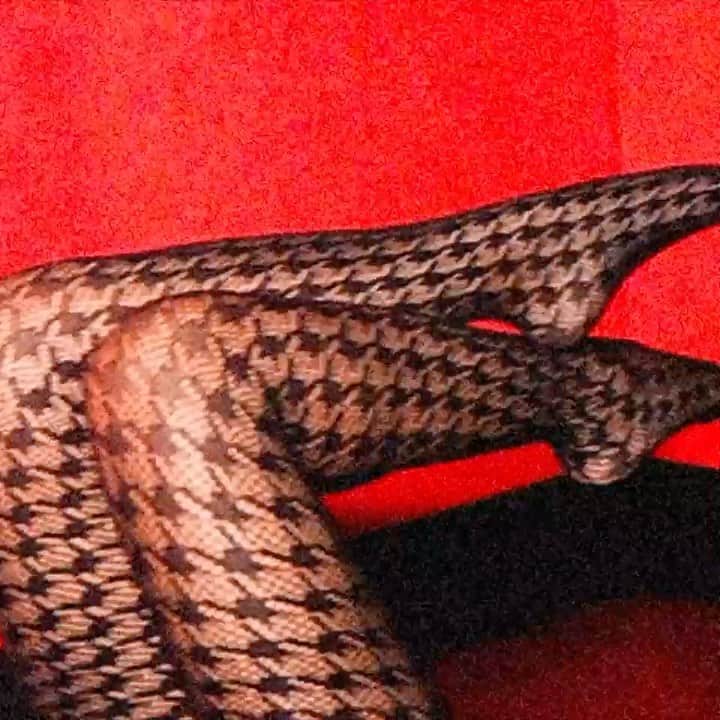 Julia Michaelsのインスタグラム：「Lie Like This is out everywhere now 💃🏻💃🏻💃🏻」