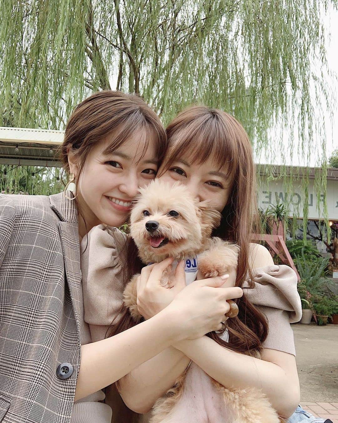 大野愛友佳のインスタグラム：「とらち。うきち。あゆち。 とらちのいい笑顔🧸 . すぐあえるからっ ランチいったとき🍴 . うきちっち。 オンまゆになりました。 . . このあと2人でよく行くバルバッコア行って、お肉とお野菜いっぱいとった🍅 . このGUのチェックジャケットたくさんつかえてる✨ YouTubeにも載せるよ〜。　 . #わんことおでかけ#乃木坂カフェ#青山ランチ#休日コーデ#高見えアイテム#高見えコーデ#秋のお出かけ#ワントーンコーディネート#グラデーションコーデ#いぬすたぐらむ🐾#sharegreenminamiaoyama#sharegreen」