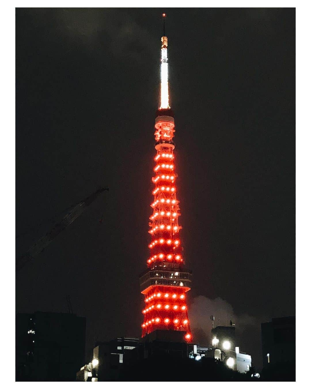 M'sブライダルさんのインスタグラム写真 - (M'sブライダルInstagram)「深夜の東京タワー🗼 #東京タワー #夜景 #散歩道 #犬の散歩🐕 #六本木 #デートスポット #オススメコース #散歩コース #出会い#婚活#お見合い#結婚#結婚相談所#エムズブライダルジャパン🌺」10月2日 1時03分 - msbridal_pr