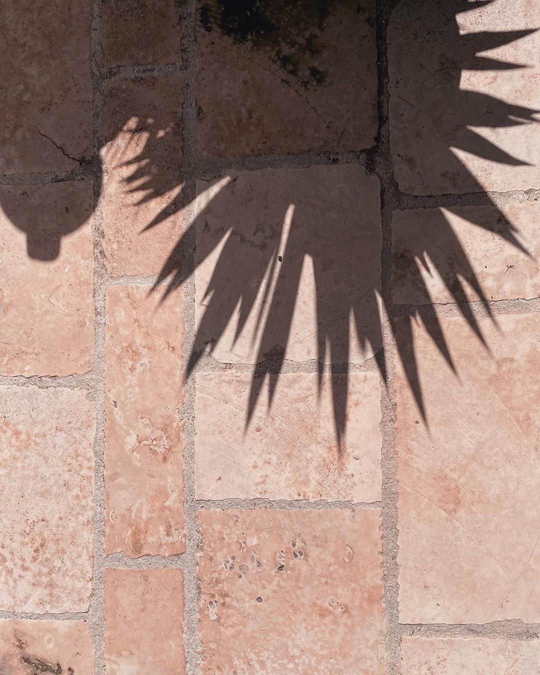 ベレン・ロドリゲスさんのインスタグラム写真 - (ベレン・ロドリゲスInstagram)「La sombra es siempre distinta a la realidad」10月2日 1時49分 - belenrodriguezreal