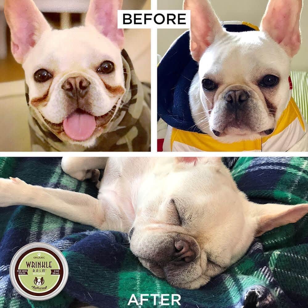 Regeneratti&Oliveira Kennelのインスタグラム：「Got wrinkles? Keep them super fresh with organic #WrinkleBalm. Made from 100% natural ingredients, Wrinkle Balm treats & prevents skin folds issues caused by bacteria and yeast buildup. A great way to keep the skin soothed, healthy and free of infection - naturally. . ⭐ SAVE 20% off @naturaldogcompany with code JMARCOZ at NaturalDog.com  worldwide shipping  ad 📷: @zooeottoline . . . . . . #petsupplies #frenchie #frenchbulldog #frenchies1 #cutepuppy #socute #dogs #bulldog」