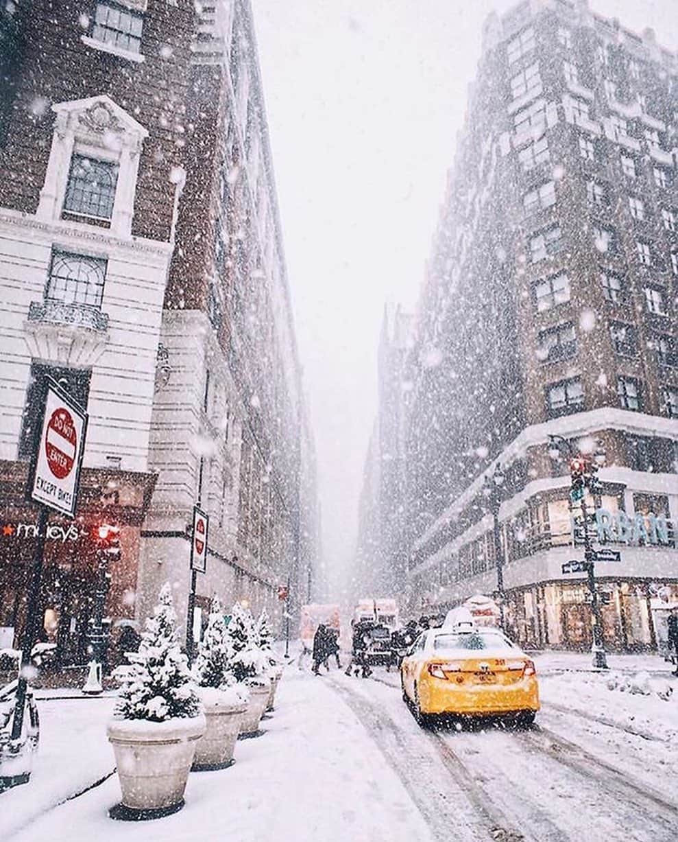 Canon Photographyさんのインスタグラム写真 - (Canon PhotographyInstagram)「Snow in NYC a few years back ❄️ Photography // @jssilberman, @pankratova916, @kat_in_nyc, @bbsinghphotos, @thewilliamanderson, @jssilberman  Curated by @steffeneisenacher  #newyork #newyorkcity #snow #winter #centralpark」10月31日 7時11分 - cpcollectives