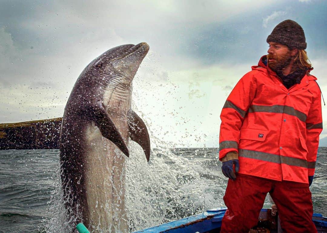 National Geographic Travelさんのインスタグラム写真 - (National Geographic TravelInstagram)「Photos by @Justin.Jin / Fungie, a dolphin that has made Dingle a world-famous tourist destination since the day he befriended a local fisherman 37 years ago, has not been seen near the Irish harbor town for weeks. Many people around the world are mourning the bottlenose dolphin that has chosen humans as his lifelong friends. I set out to sea to photograph Fungie in 2006. For days he was nowhere to be seen, and suddenly he leapt out of the water right next to my boat. It was challenging to capture the moment because I didn't know where he might appear and when. I jumped into the frigid water to swim with him, but he did not oblige. Our brief encounters touched me. I can understand the people in Dingle missing him dearly. Goodbye, Fungie. Follow photographer @Justin.Jin for more stories and pictures from around the world. #dingle #dinglepeninsula #swimfreefungie #fungie #fungiethedolphin」10月31日 6時14分 - natgeotravel