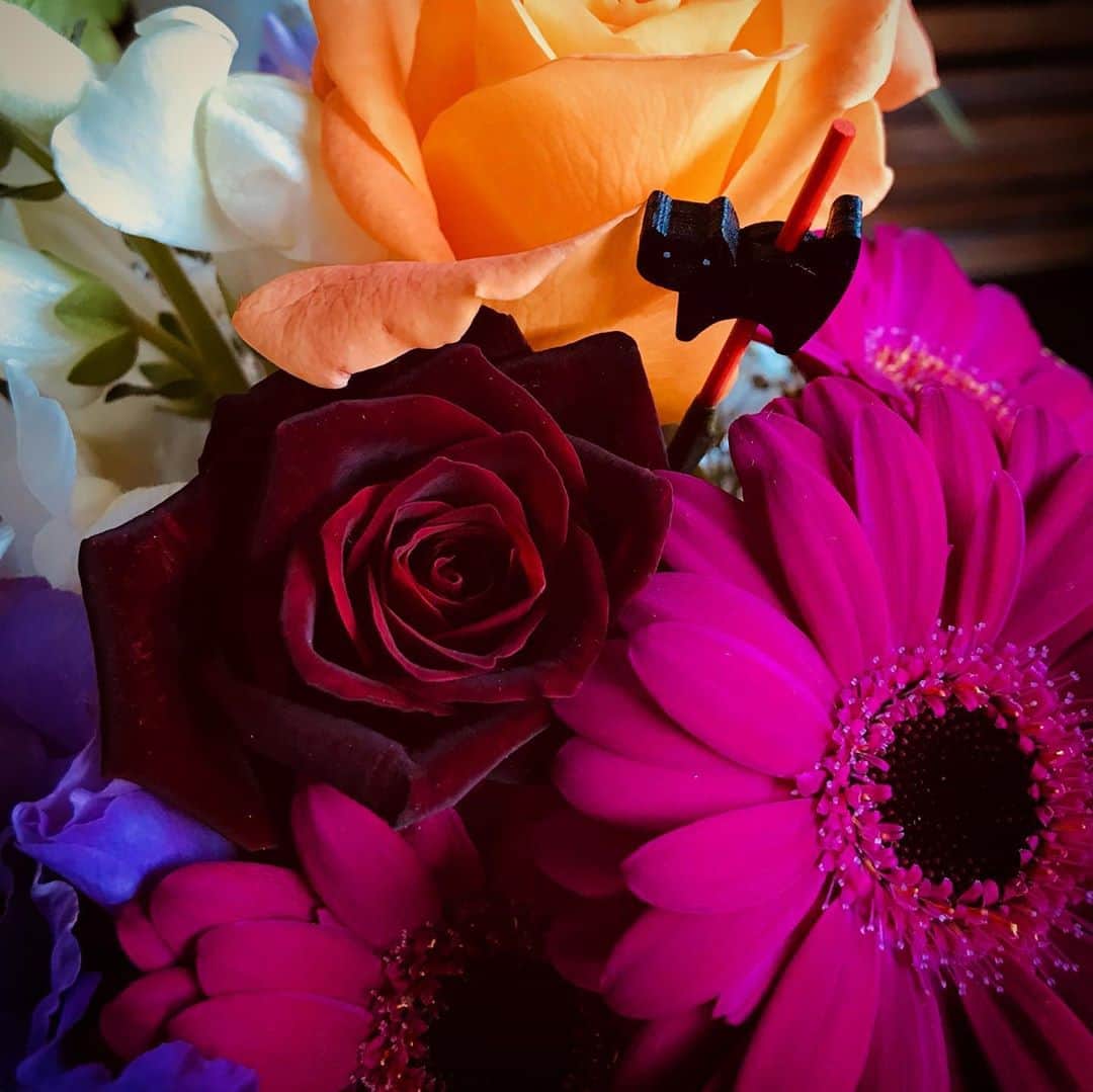 前野えまさんのインスタグラム写真 - (前野えまInstagram)「ハッピーハロウィン🎃 ・ ・ #ハッピーハロウィン #ハロウィン #🎃 #お花 #フラワーアレンジメント #ハロウィンアレンジ #紫の花 #ガーベラ #トルコキキョウ #カラー #オレンジの花 #バラ #カボチャ #クジャクソウ #白い花 #かすみ草 #ストック #花のある暮らし #黒猫 #可愛い #🖤  #happy #holloween #flowers #flowerarrangement #flowerstagram #flowerphotography  #girl #daily_phot_jpn #japan_daytime_view」10月31日 6時56分 - maeno_ema