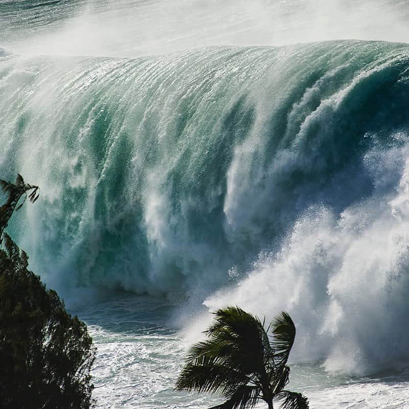 クラーク・リトルさんのインスタグラム写真 - (クラーク・リトルInstagram)「Big Hawaiian #shorebreak #clarklittle 🆑」10月31日 7時00分 - clarklittle