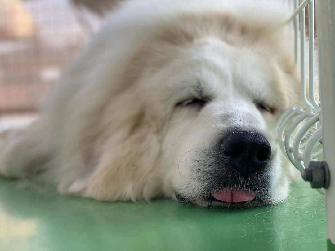 真奈のグルメインスタ