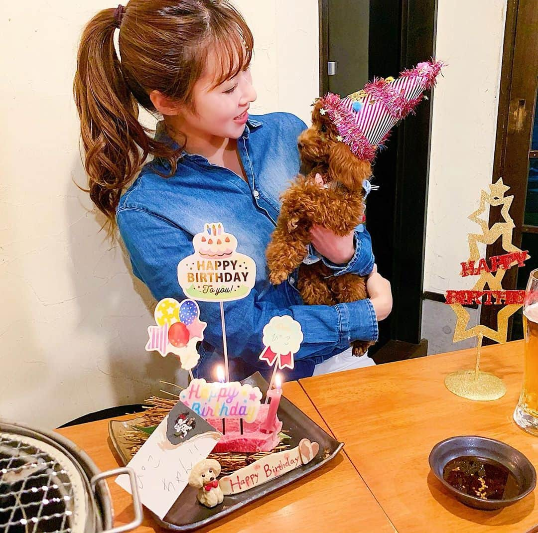 MISAのインスタグラム：「ぴこぉぉぉぉ🎂1歳のお誕生日おめでとう会🎉❤️💛💚産まれてきてくれて出逢ってくれて、いつも癒しと笑いをありがとう☺️これからもスクスクと育ってねー❤️❤️大好きだよ❤️  @ken.tkg8929 誕生日会ありがとうでした🎉🎉  #犬#犬のいる暮らし#犬の誕生日#いぬ#トイプードル#プードル#プードルレッド#末っ子#1歳誕生日#多頭飼い犬#多頭飼いの幸せ#dog#dogstagram#doglover」