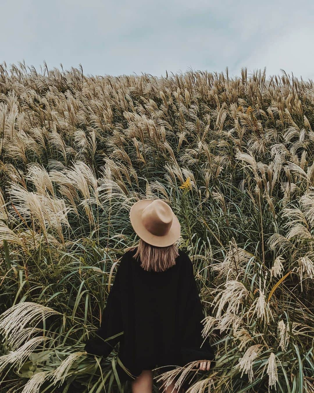 福田洋昭さんのインスタグラム写真 - (福田洋昭Instagram)「Went to go shoot kokia and ended up getting lost in 🌾🌾🌾#GooglePixel5 #Pixelで撮影 #Googleのスマホ  @kkkkkkanna」10月30日 22時28分 - hirozzzz