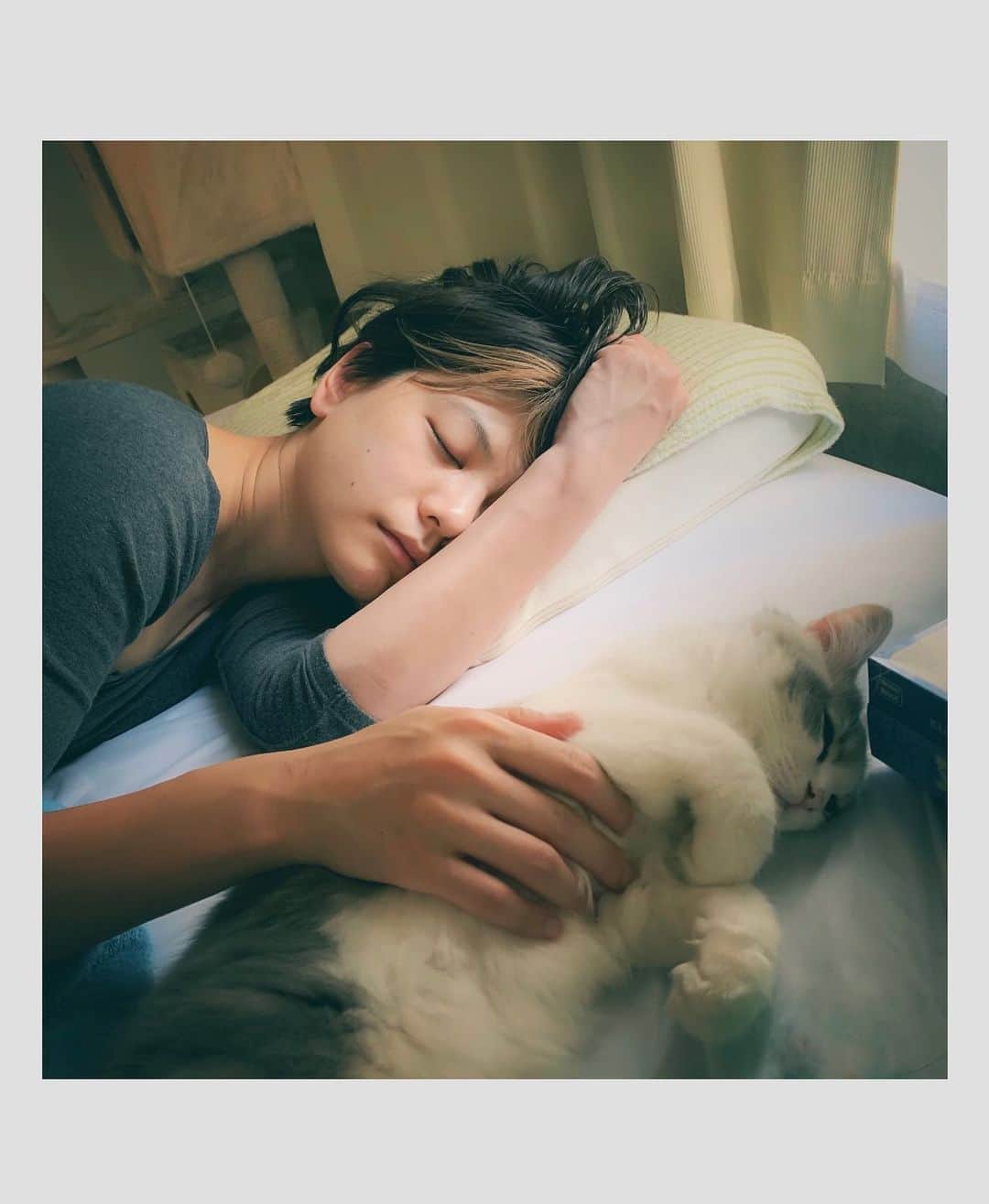 石川瑠利子のインスタグラム：「. . ある朝の1枚。 ペットは飼い主に似るとよく言うけど、寝方まで一緒とは・・🐱笑 . . #photo #morning #kitten #明け方に起こされて撫でながら寝た結果 #猫のいる暮らし #猫好き」