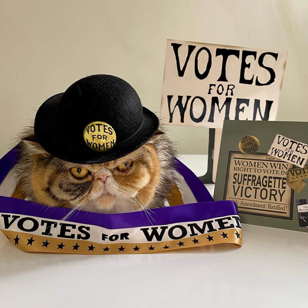 Tinaのインスタグラム：「Suffragette Wheezy means serious business, so get out and vote! 🗳」