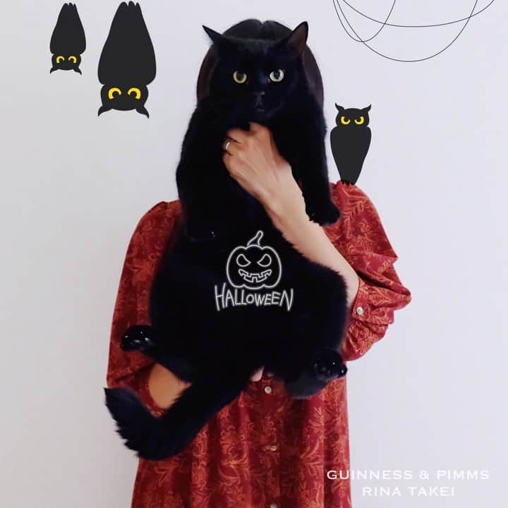 のインスタグラム：「30/10/2020 Happy Friday! ・ “Happy Halloween” from Guinness, whose likeness to a bat is frightfully similar🦇 Have a nice weekend everyone! ・ ・ ハロウィンは黒猫の出番🦇 という事で ギネスと久々の#猫人間写真 。 毎年思うけど、 ギネスとイラストのコウモリは どれもよく似ている。笑 皆さま素敵なハロウィンを👻 ・ ・ #halloween #happyhalloween #ハロウィン」