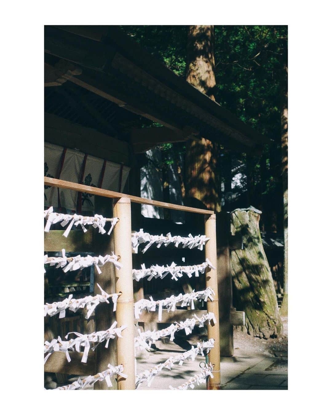 玉城翔子さんのインスタグラム写真 - (玉城翔子Instagram)「すてき⛩」10月30日 23時36分 - shoco1116