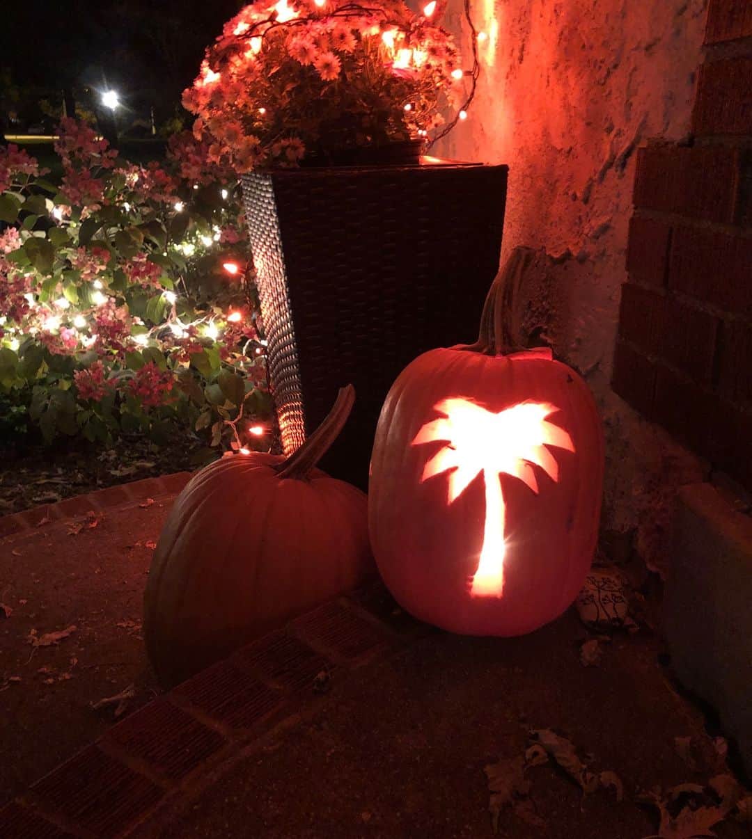 Vita Coco Coconut Waterのインスタグラム：「Final "on brand" pumpkin, how'd we do?」