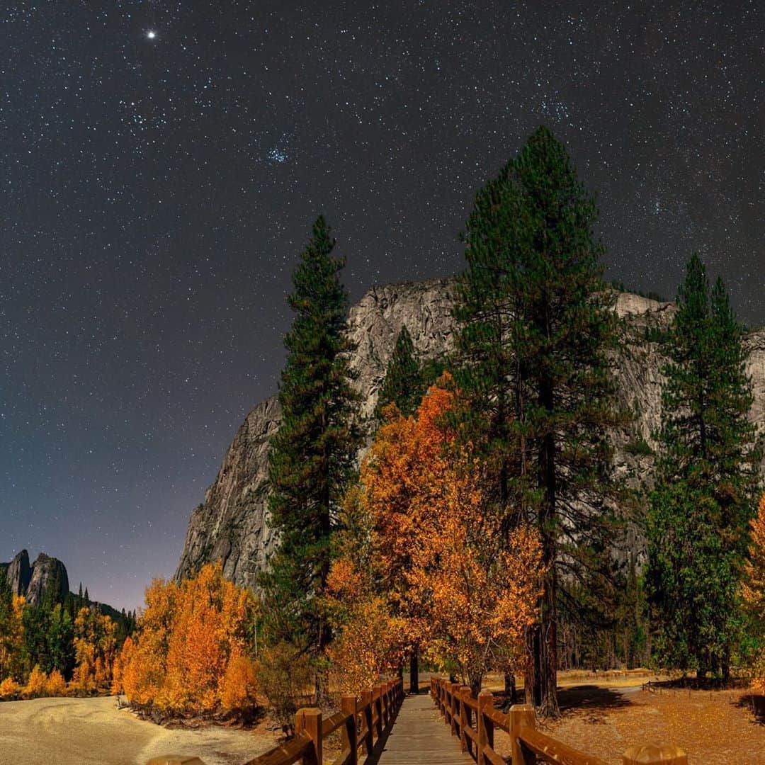 National Geographic Travelさんのインスタグラム写真 - (National Geographic TravelInstagram)「Photo by @babaktafreshi / Swipe to see this panoramic image of a crystal clear November 2012 night in Yosemite National Park, California. It was surreal. Aspen trees at the shore of the Merced River were in vivid fall colors. The bright planet Jupiter and winter constellations Orion and Taurus were in the sky. Explore more of the world at night photography @babaktafreshi. #yosemite #nightsky #twanight #nationalparks」10月30日 23時50分 - natgeotravel