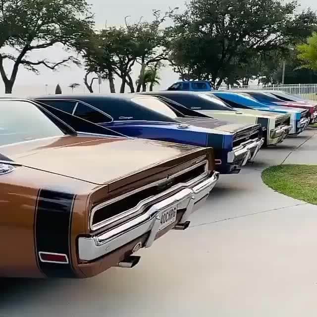 Classics Dailyのインスタグラム
