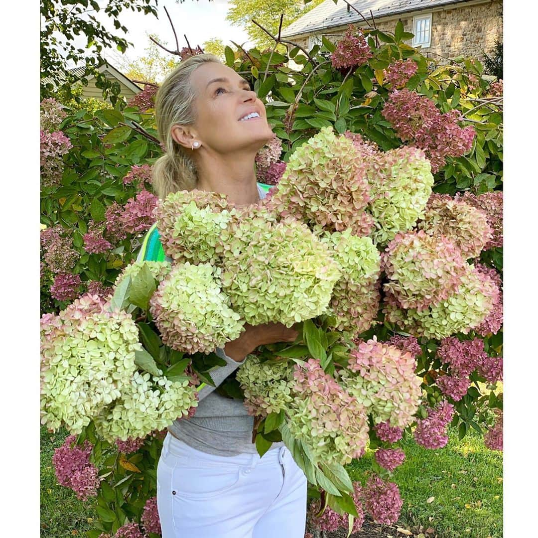 ヨランダ・ハディッドさんのインスタグラム写真 - (ヨランダ・ハディッドInstagram)「❤️Right before this crazy rain storm, Cut and hung to dry for Christmas decorations....... #Hydrangea #FarmLife」10月31日 0時46分 - yolanda.hadid