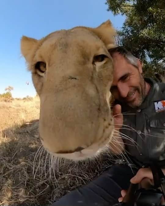 Kevin Richardson LionWhisperer のインスタグラム