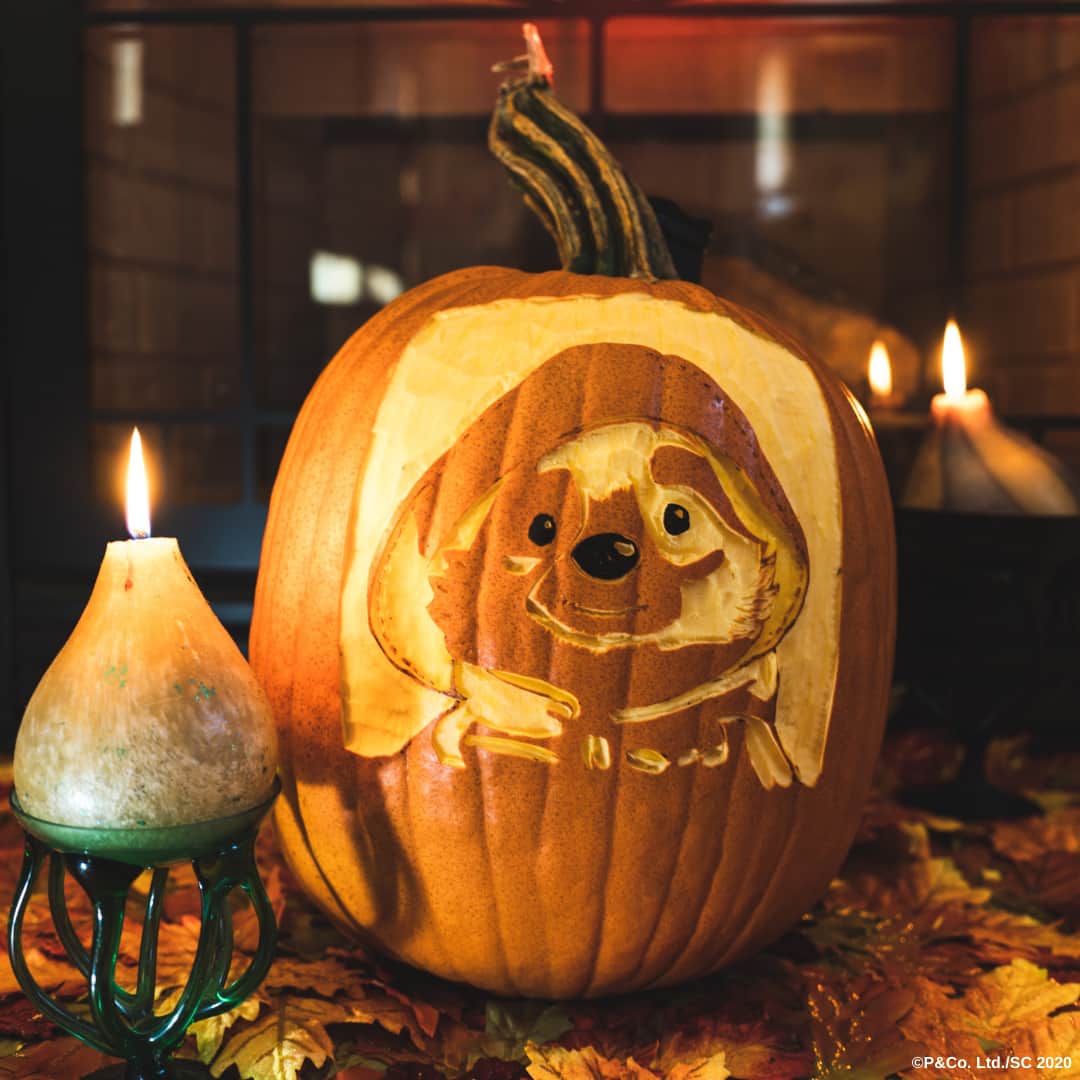 Paddington Bearさんのインスタグラム写真 - (Paddington BearInstagram)「Happy Halloween to all of you from everyone at 32 Windsor Gardens. 🎃⁣ ⁣ Think you can try this? Tag us in your #PaddingtonPumpkin pictures!」10月31日 2時08分 - paddingtonbear