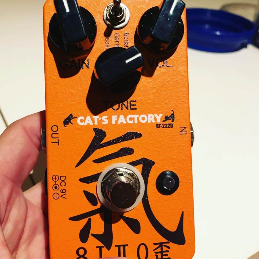 原田喧太さんのインスタグラム写真 - (原田喧太Instagram)「CAT’S Factory  AT-222D "8I-II0歪" 【AKIRA TAKASAKI Signature Pedal】 初めてライブで使ったけど、最高‼️ 今日の歪みは全てコレ！ #catfactory  #高崎晃  #distortion」10月31日 2時11分 - kenta.harada