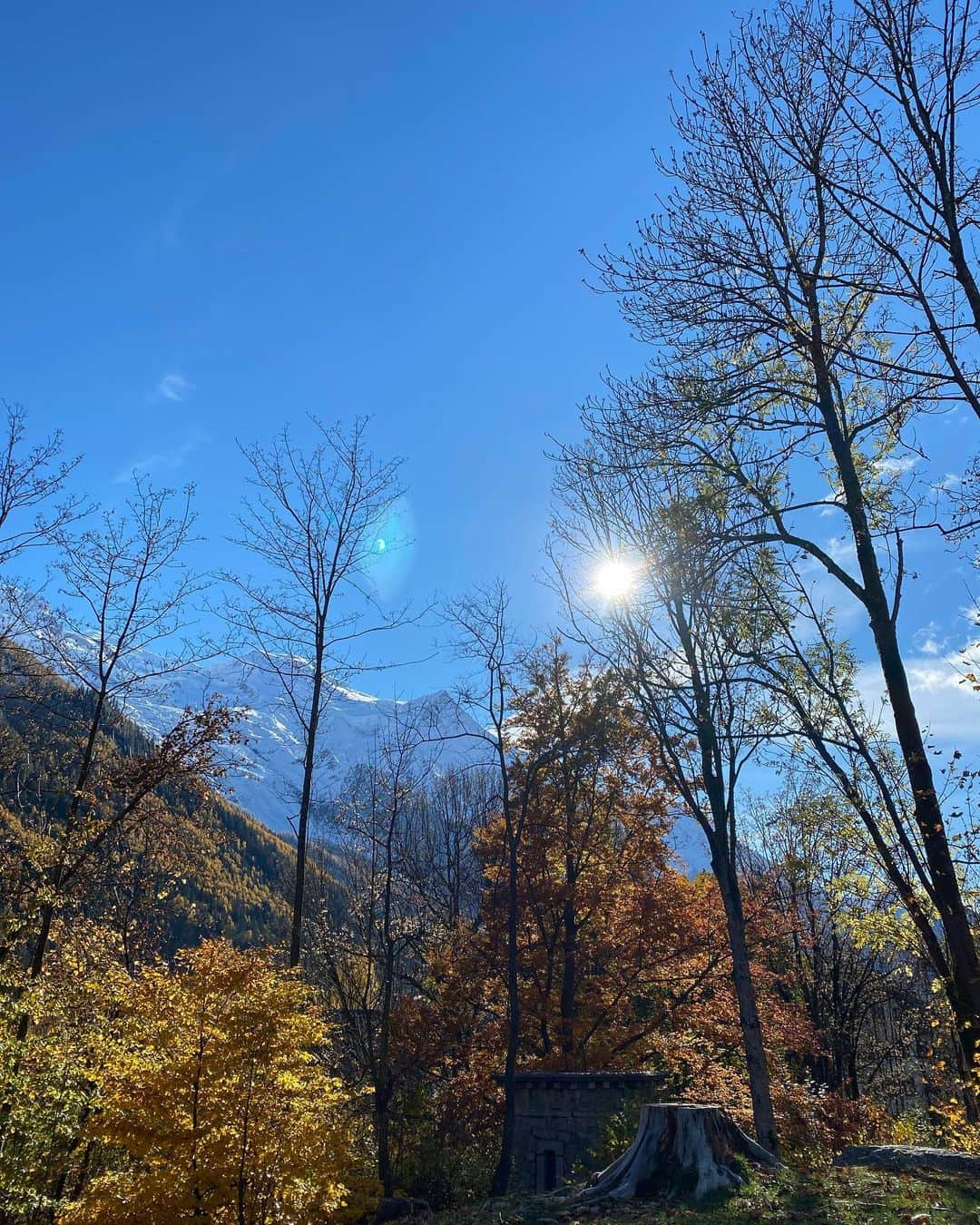 Inka Williamsさんのインスタグラム写真 - (Inka WilliamsInstagram)「Being here in the mountains after a month in the city always brings my breathing back to a good pattern. These @theofficialpandora charms always remind me of my first trek in the rainforests of Sumatra. I was 15 and it was school camp. We trekked for 9 hours up the rainforest to a camp on a river in tents and had the most amazing fruits/dinner. We saw orangutans in the wild and countless other monkeys. The flora and fauna were incredibly rich, as well as it’s unique biodiversity.  I was very fortunate to have experienced the rainforest while it’s still here. It really made me sad to see mostly palm oil plantations instead of jungle when driving around Sumatra. This memorable first trek through the jungle changed my life and motivated me to make a difference and to protect it, as it made me realise how much there is still worth protecting for. After all, 50% of the world’s oxygen comes from trees. #SomethingAboutYou #Pandora20 #shotforpandora」10月31日 2時45分 - inkawilliams